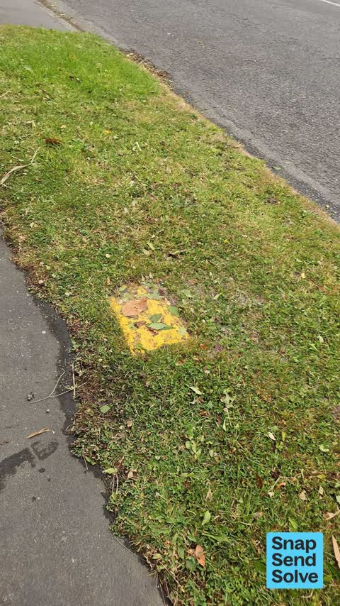 Water Leak, a report photo