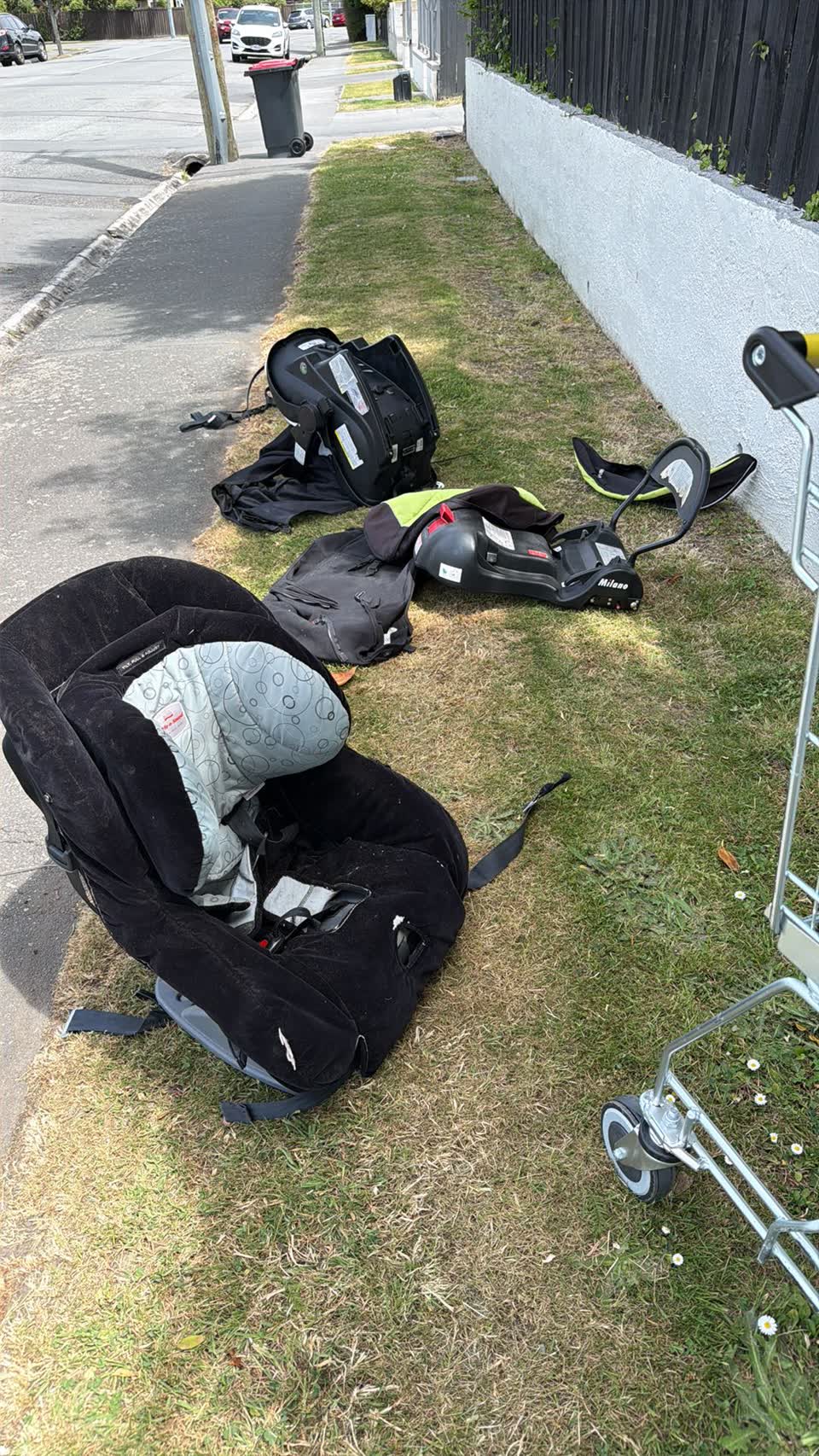 The photograph attached to this litter report