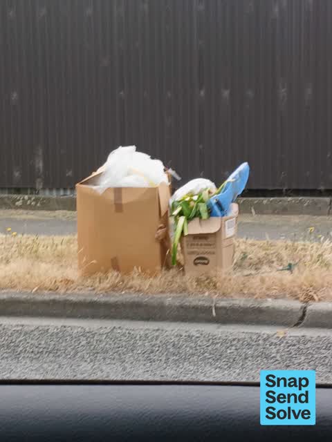 Dumped Rubbish, a report photo