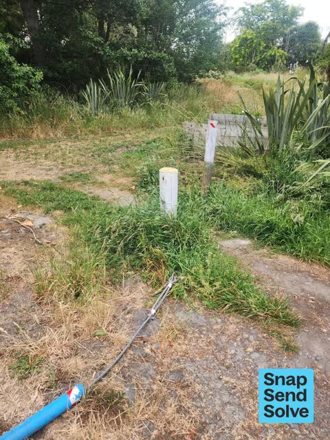 Park - General Request — a report photo