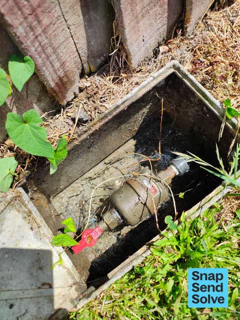 Water Leak, a report photo