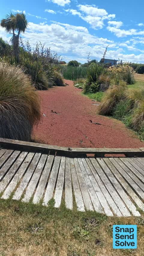 Overgrown Vegetation, a report photo