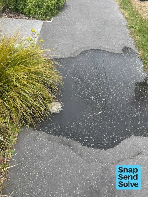 Water Leak, a report photo