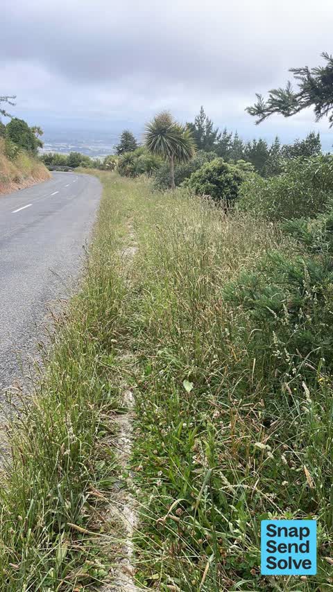 Roads - General, a report photo