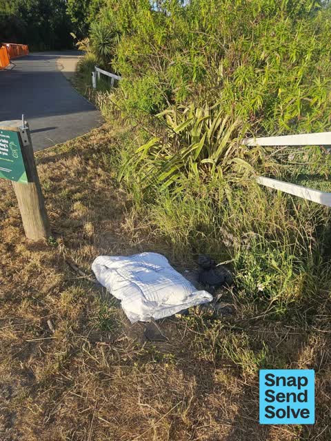 Dumped Rubbish — a report photo