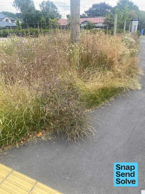 General Request, a report photo