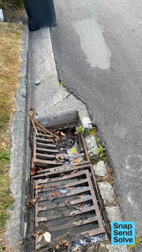 Street Gutters / Storm Water, a report photo