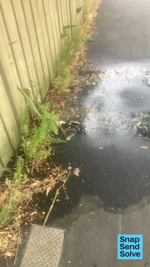 Water Leak, a report photo