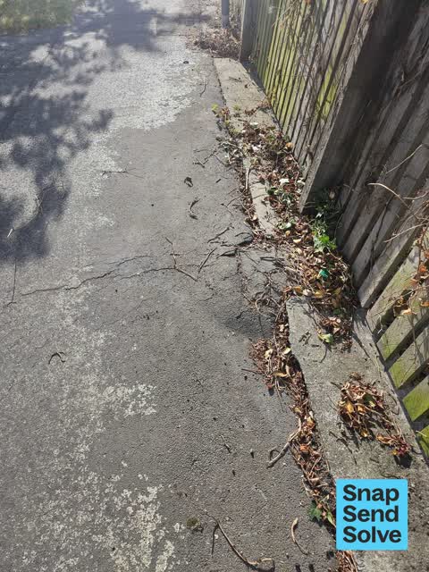 Pavement - Damaged, a report photo