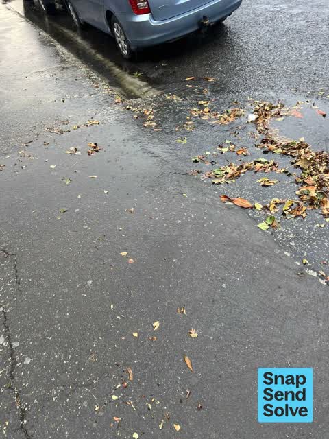 Street Gutters / Storm Water, a report photo