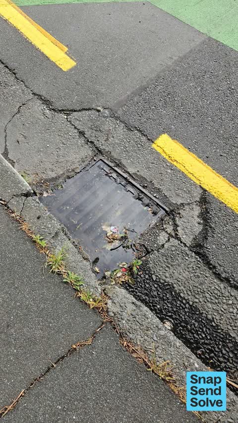 Street Gutters / Storm Water — a report photo