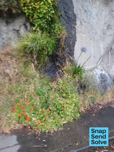 Water Leak, a report photo