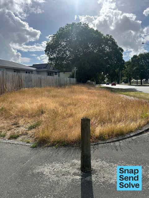 Overgrown Vegetation, a report photo