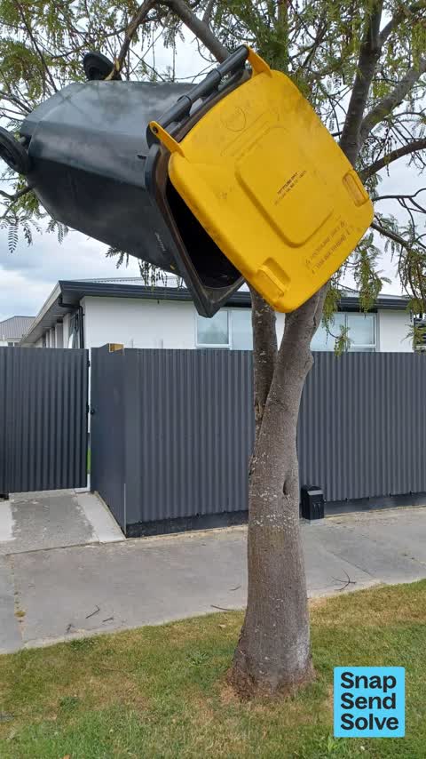 Rubbish and Bins - General, a report photo