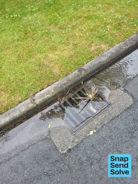 Street Gutters / Storm Water, a report photo