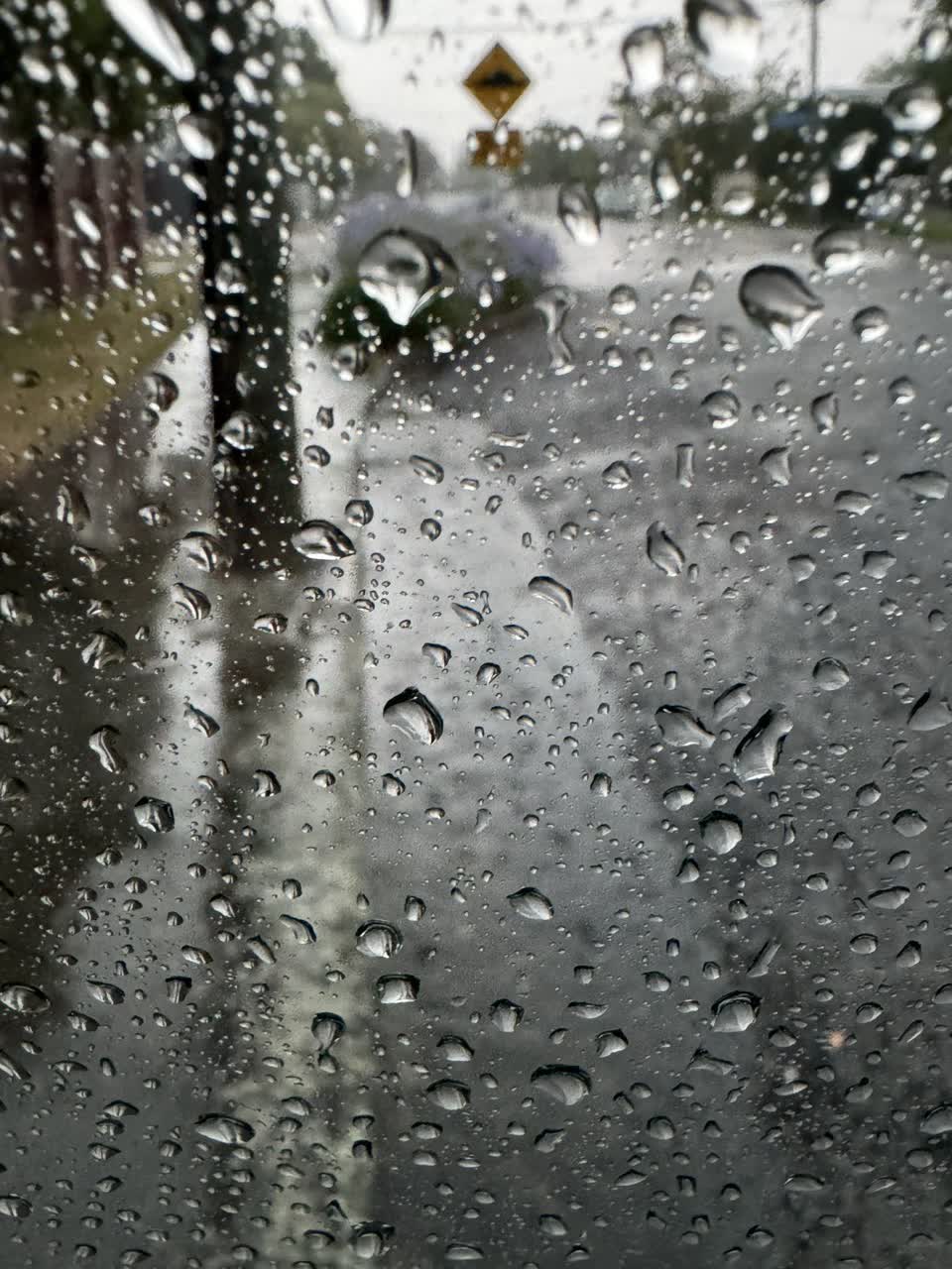 The photograph attached to this street gutters / storm water report