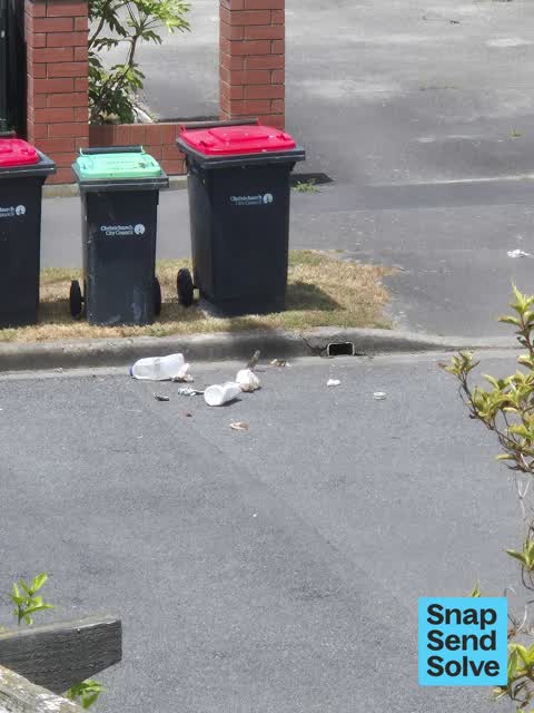 Rubbish and Bins - General, a report photo