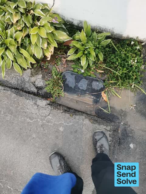 Water Leak, a report photo