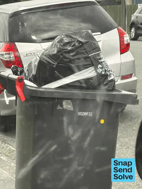 Rubbish and Bins - General, a report photo