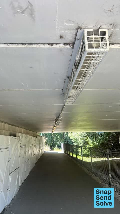 Street Light Outage, a report photo