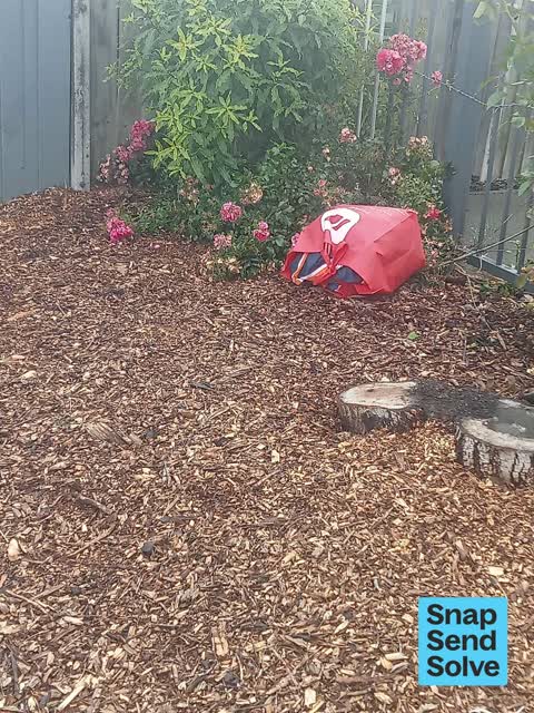 Dumped Rubbish — a report photo