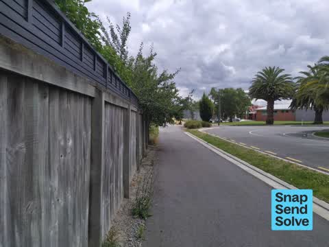 Overgrown Vegetation — a report photo