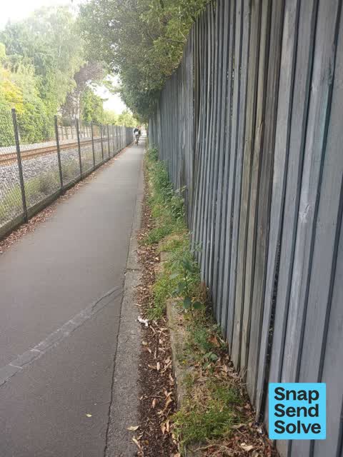 Overgrown Vegetation, a report photo