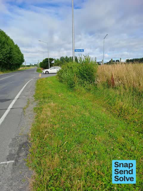 Overgrown Vegetation — a report photo
