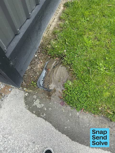 Water Leak, a report photo