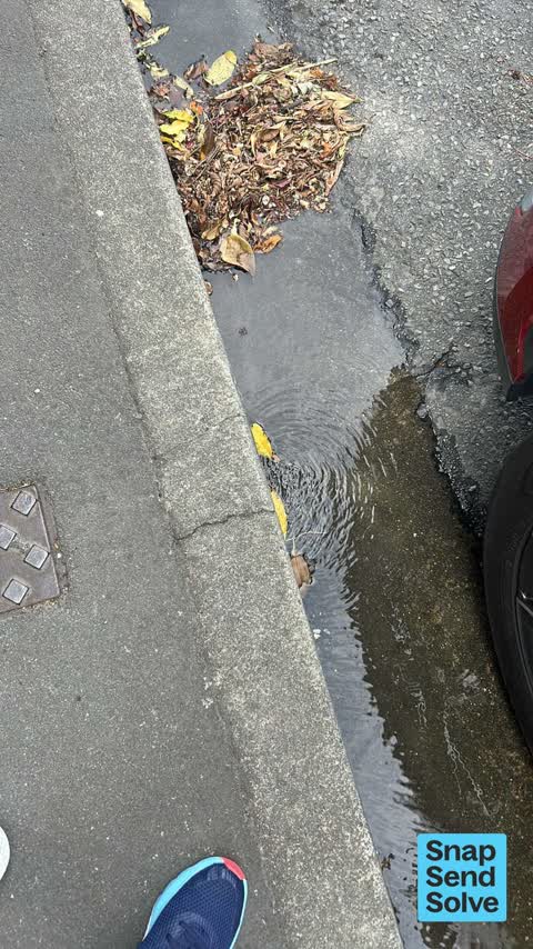 Water Leak, a report photo