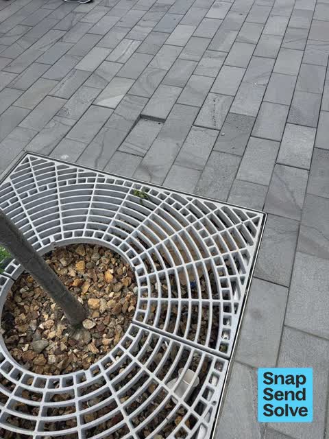 Pavement - Damaged, a report photo