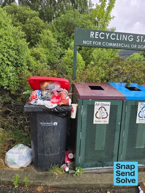 Rubbish and Bins - General, a report photo