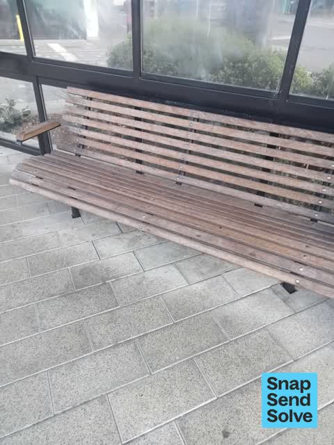 Tram Shelter Issue, a report photo