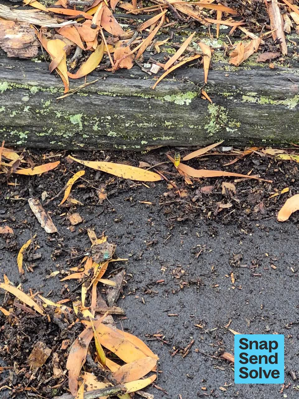 The photograph attached to this park - general request report