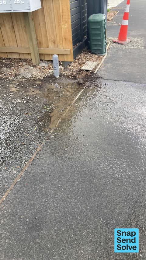 Water Leak, a report photo
