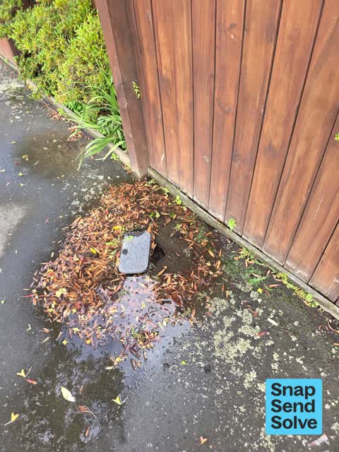 Water Leak, a report photo