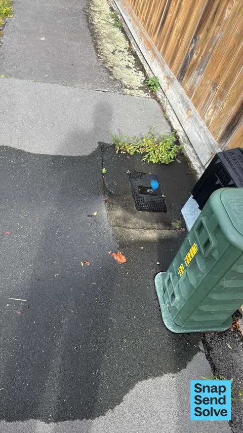 Water Leak, a report photo