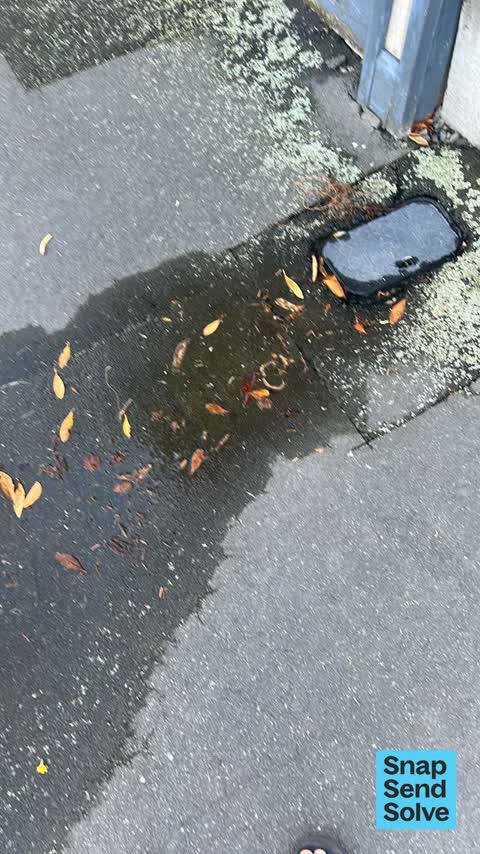 Water Leak, a report photo