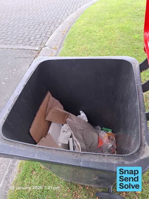 Rubbish and Bins - General, a report photo
