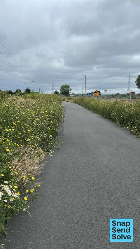 Overgrown Vegetation, a report photo