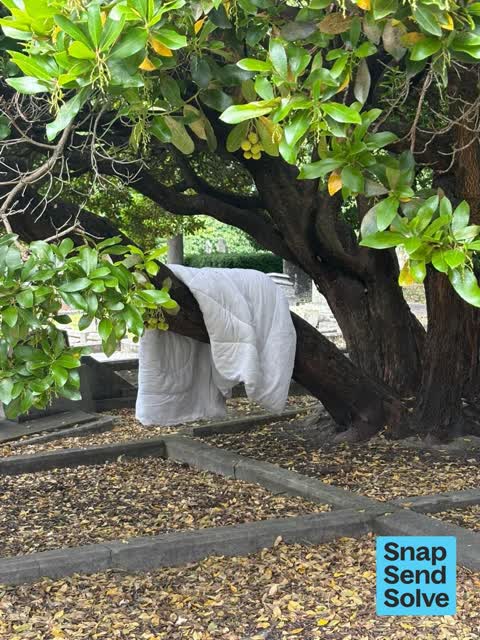 Dumped Rubbish — a report photo