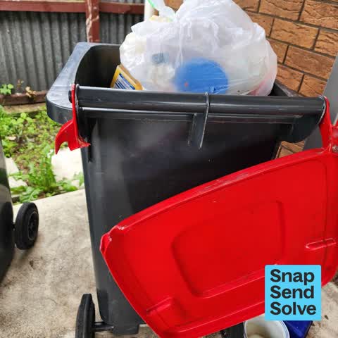 Rubbish and Bins - General, a report photo