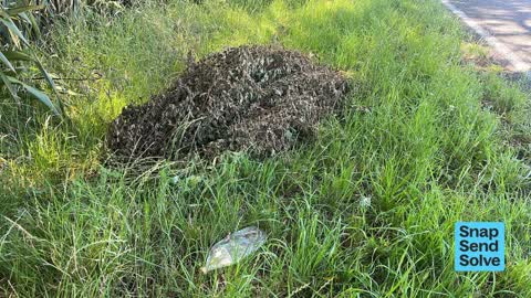 Dumped Rubbish, a report photo