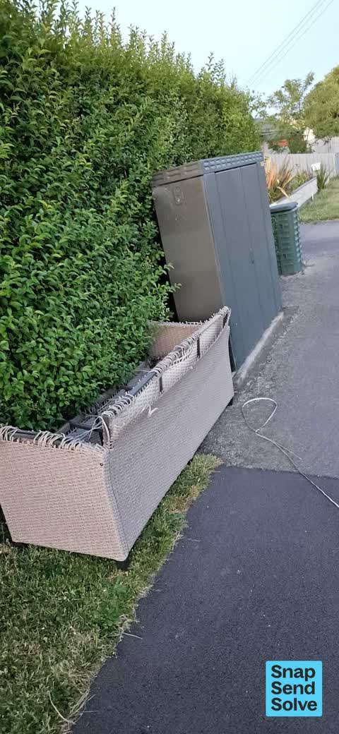 Litter — a report photo