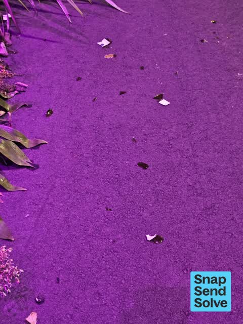 Litter — a report photo