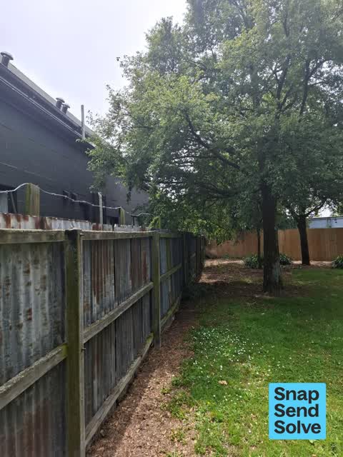 Trees - General, a report photo