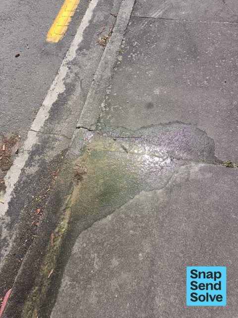 Water Leak, a report photo