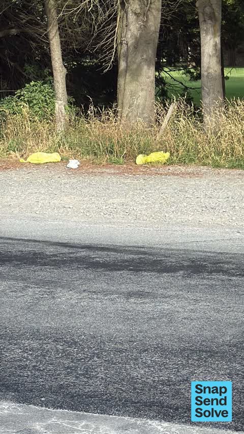 Litter — a report photo