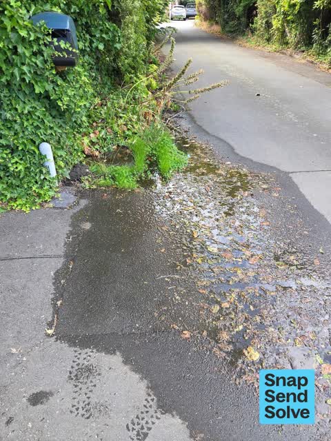 Water Leak, a report photo