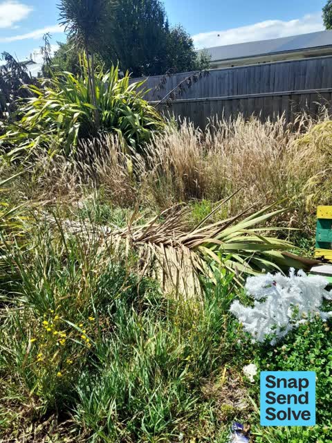 Dumped Rubbish, a report photo